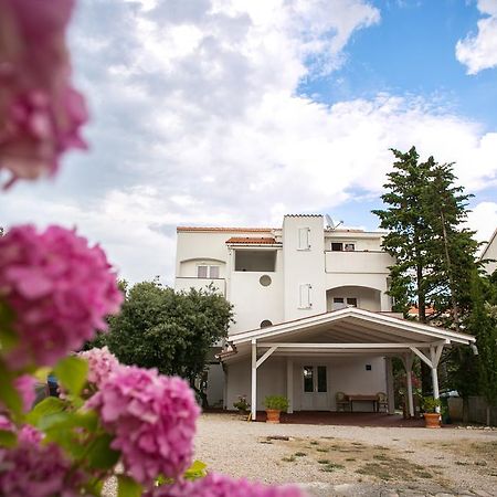 Apartments Ostrea - Mimoza Novalja Buitenkant foto